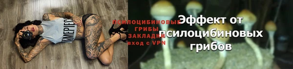кокаин Белокуриха