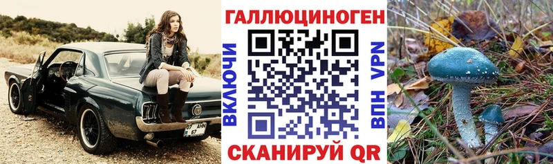 Галлюциногенные грибы Psilocybine cubensis  Маркс 